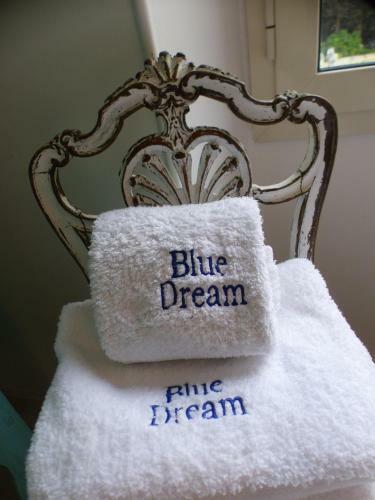 Hostal Blue Dream Cannes Guest House