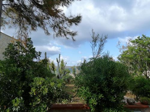 Sale, Amore E Vento....