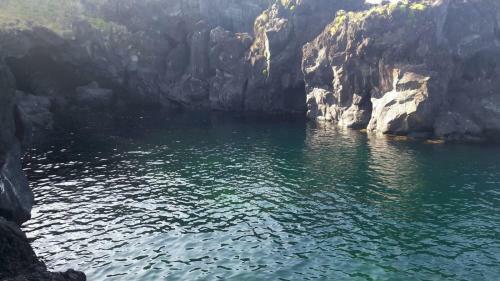 Azores Hibiscus House - Mountain And Sea