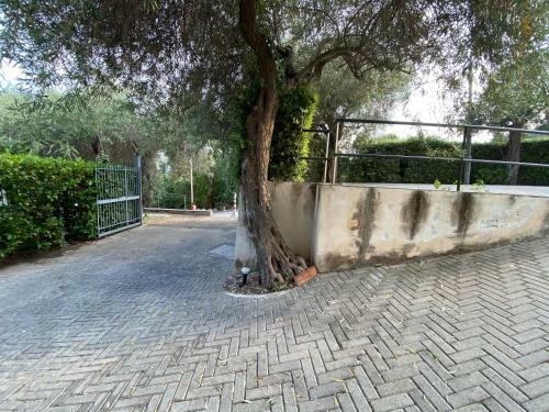 Apartamento Theas