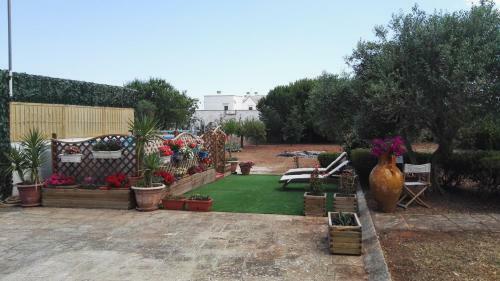 Tenuta Trullo Odisseo