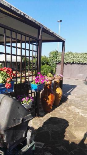 Tenuta Trullo Odisseo