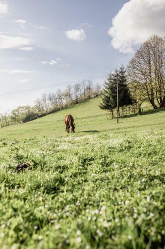 Agroturismo Dasz�wka Bieszczady