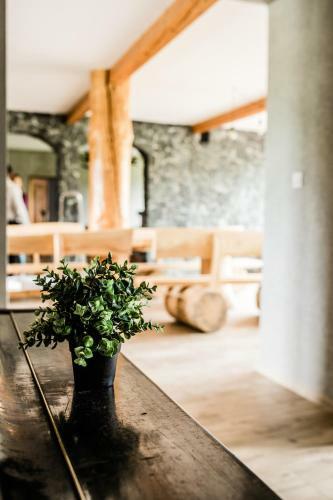 Agroturismo Dasz�wka Bieszczady