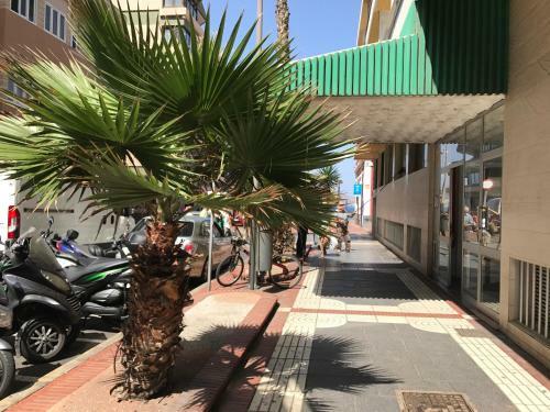 Apartamento Estudio Paseo Las Canteras