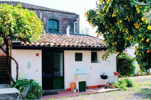 Masseria Delle Arance