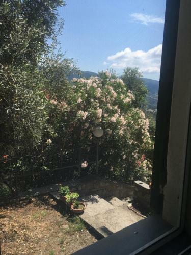 Apartamento Appartamento Il Girasole