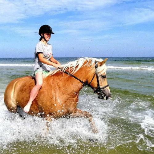 Agroturismo Babie Lato