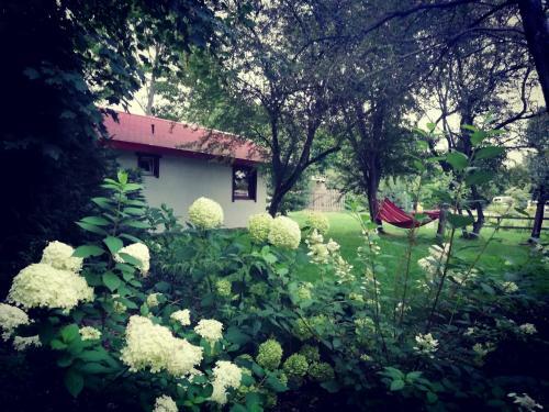 Agroturismo Babie Lato