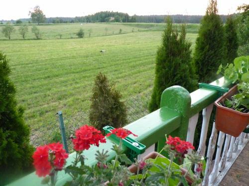 Bed & Breakfast Sloneczna Weranda
