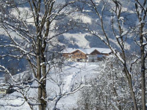 Apartamento Mitterbichlhof
