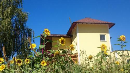Hostal Pension Alpenblick