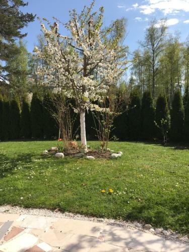 Apartamento Pension Hadanig