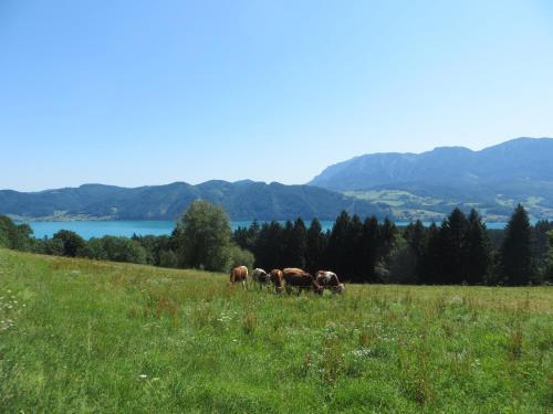 Apartamento Ferienwohnung Brigitte Perner