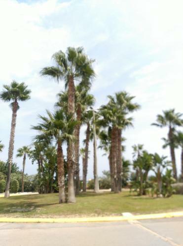 Apartamento Acapulco III Marina D�r