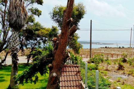 Casa Vacanze La Baita