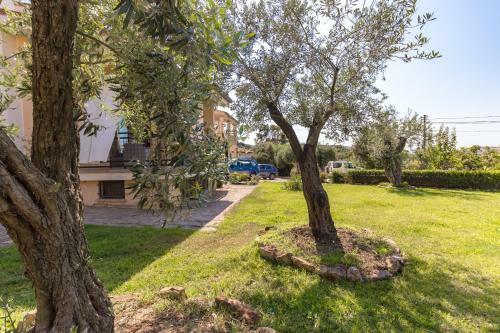 Bed & Breakfast Il Giardino Degli Ulivi