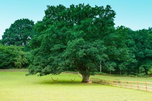 Lodge Hidden Wood Glamping And The Hideaway Cabin