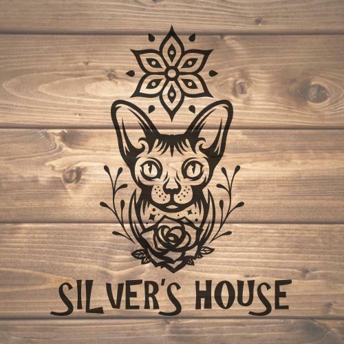 Silver's House