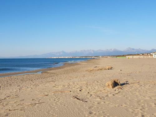 Apartamento Tirrenia Belvedere