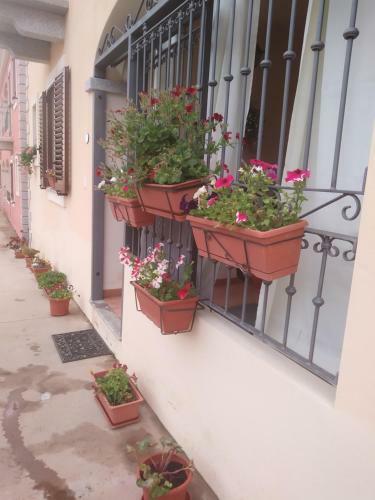 Apartamento Appartamento Borgo La Vigna