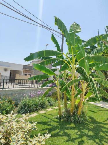 Bed & Breakfast Il Negramaro