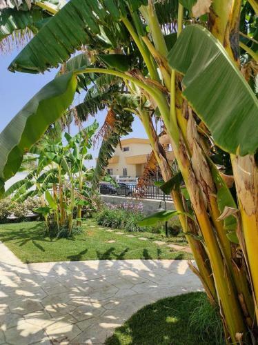 Bed & Breakfast Il Negramaro