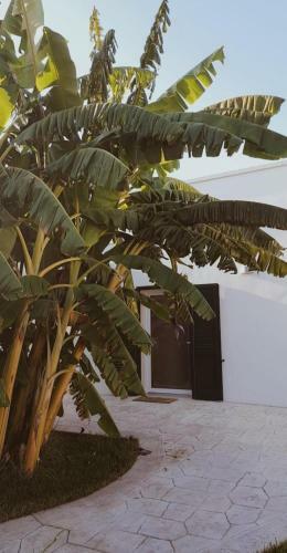Bed & Breakfast Il Negramaro