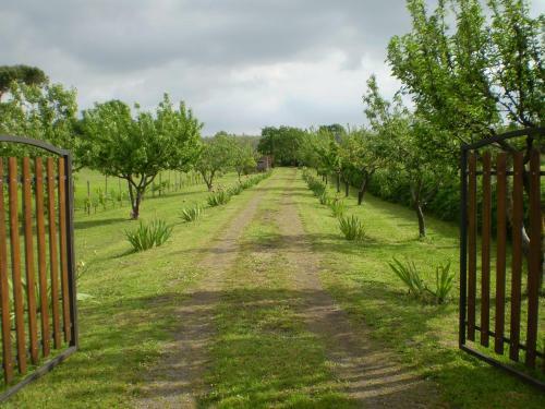 Locazione Turistica Casale Di Befania