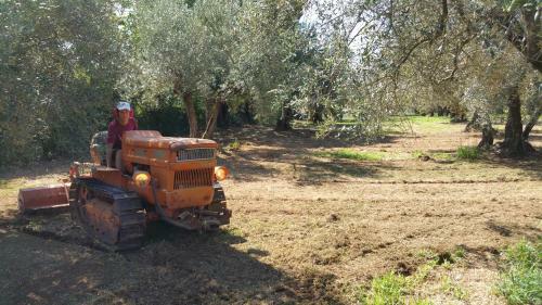 Locazione Turistica Casale Di Befania