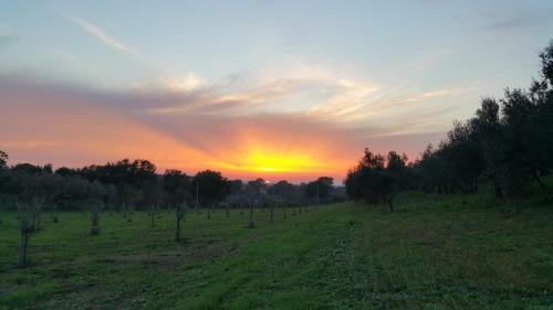 Locazione Turistica Casale Di Befania