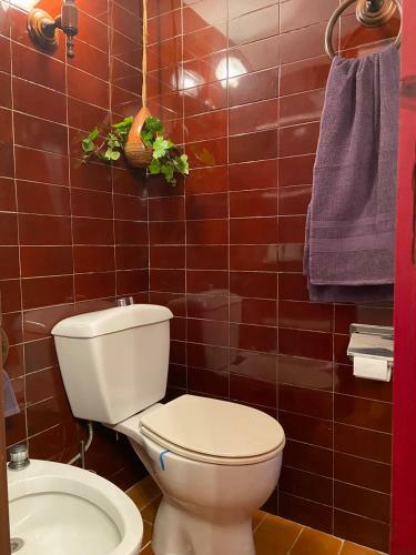 Apartamento Rac� De Tamariu