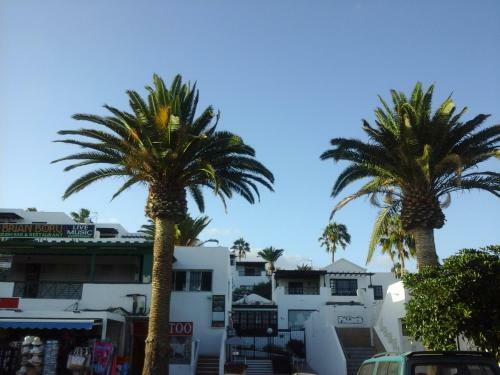 Apartamento Primera Linea Playa