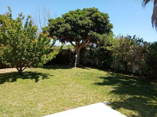 Dimora Alfas Torre Dell'orso Villaggio Torre Saracena