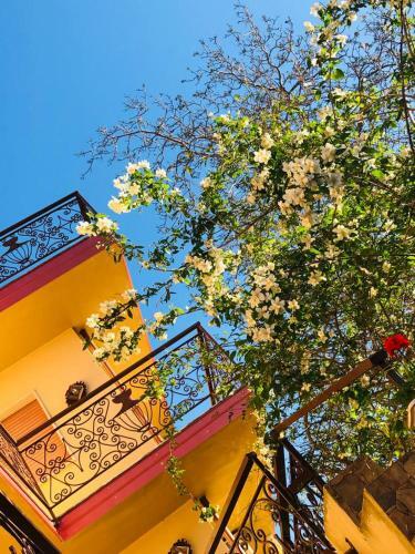 Bed & Breakfast Silverstar Sas