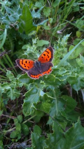 Bed & Breakfast A La Campagne, Au Calme