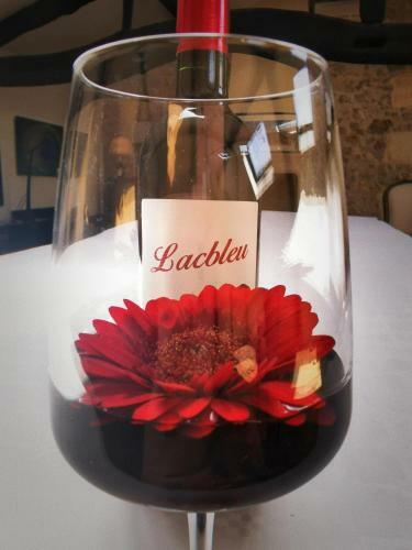 Hotel Bordeaux Ch�teau Lacbleu