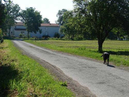 Mettez Vous Au Vert Au C?ur De La Charente Maritime