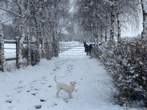 Bed & Breakfast Haras De La Croix D'argent