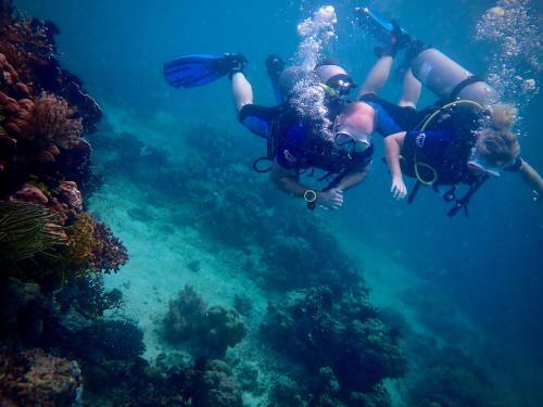 Albergue Alegria Dive Resort