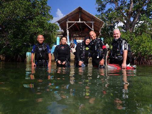 Albergue Alegria Dive Resort