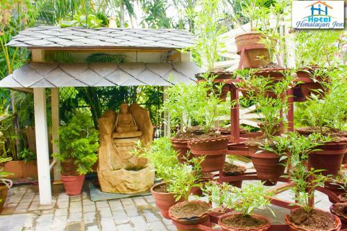 Himalayan Inn 2bhk Apartment