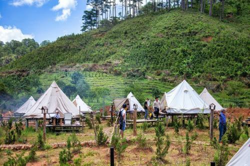 No Love Camp - Glamping ?� L?t