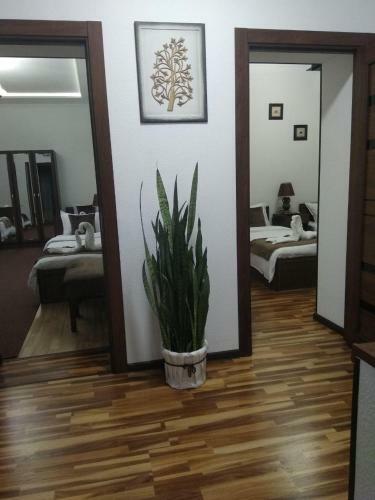 Hostal Guest House Safina-s&d