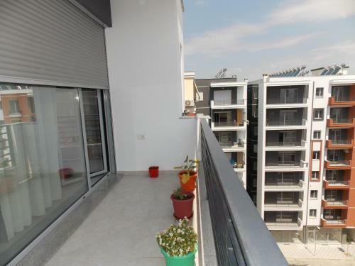Apartamento Gray House Korce