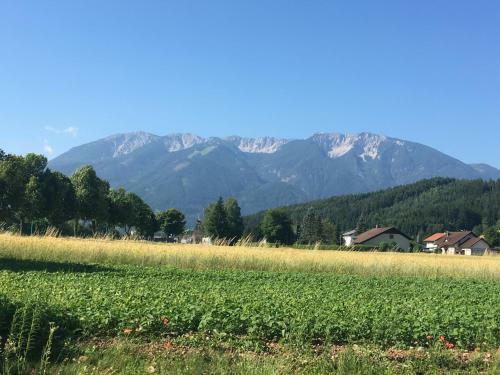 Apartamento Ferienhaus Miklin