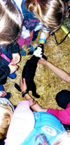 Agroturismo La Posada De Ajamil
