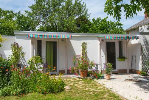 Orgona Apartman- �s Nyaral�h�z