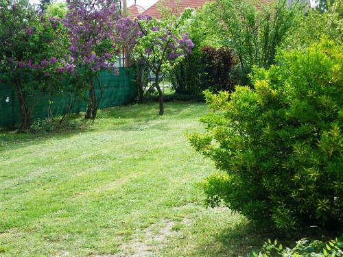 Orgona Apartman- �s Nyaral�h�z