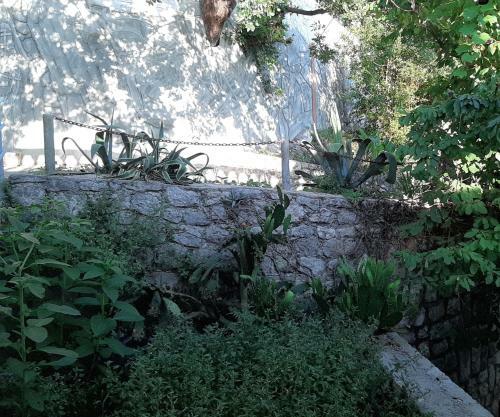 Adria Bay Apartment Tivat